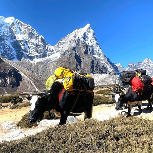 Trek Balcon de l’Everest